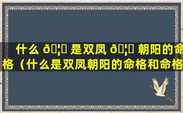 什么 🦈 是双凤 🦄 朝阳的命格（什么是双凤朝阳的命格和命格）